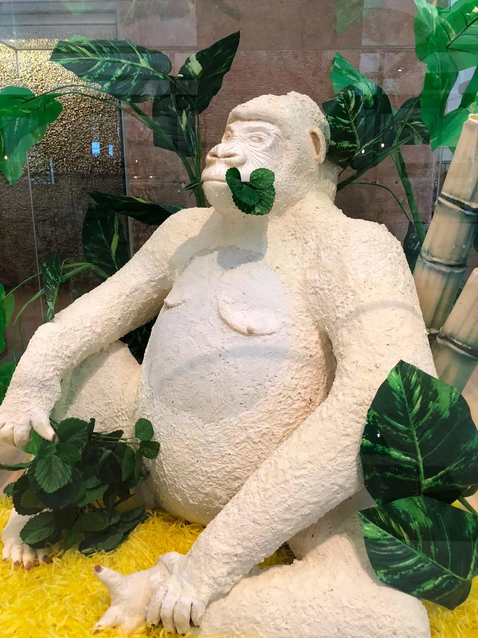 再看!再看我就吃掉你!