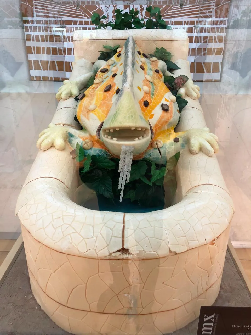 桂尔公园的蜥蜴